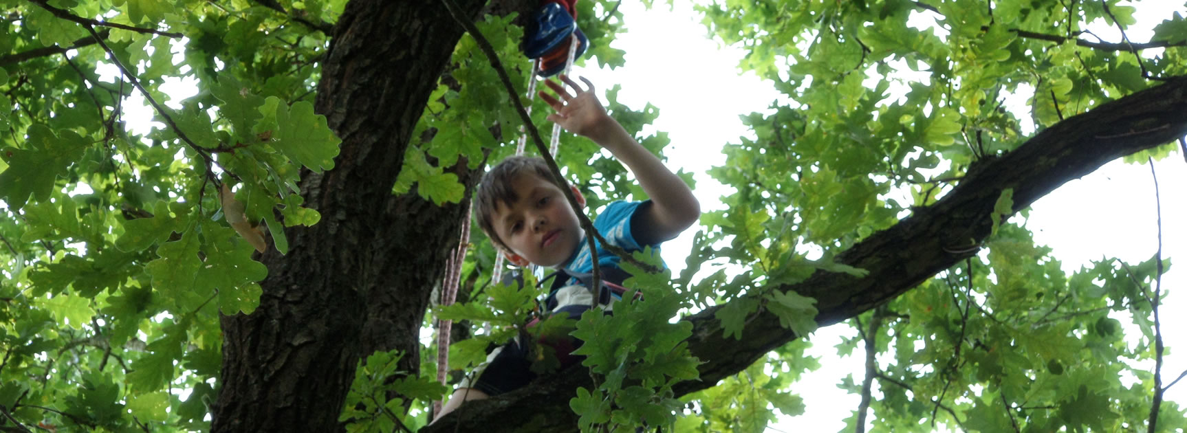 baumklettern.jpg